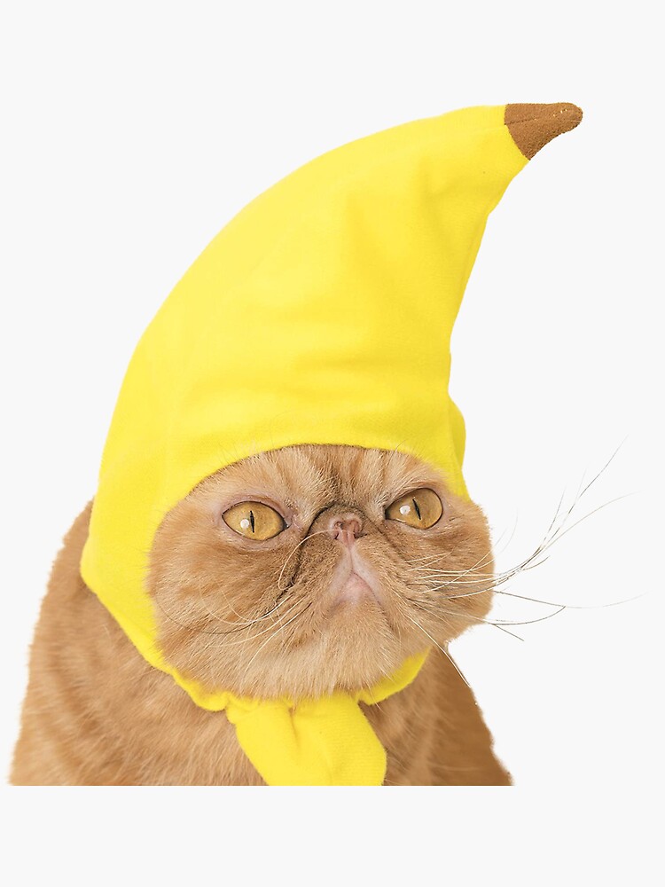 "Cute Cat in BANANA HAT STICKER" Sticker by pinkmeowie Redbubble