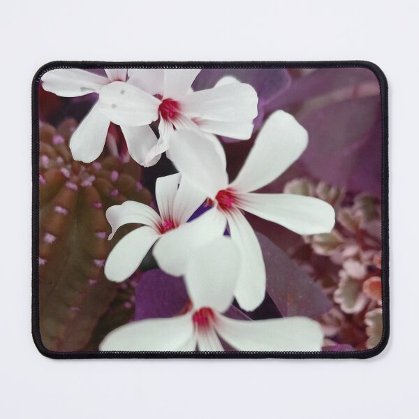 Item preview, Floral  (Oxalis flower Photography) designed and sold by Paint84.