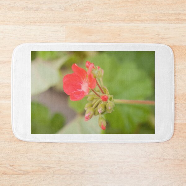 Item preview, Geranium coral red. Pelargonium. Flowerbed.  designed and sold by rajeshbac.