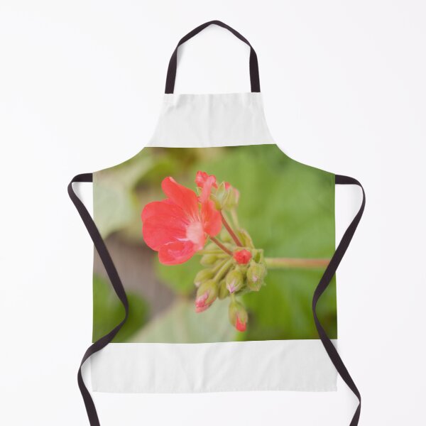 Item preview, Geranium coral red. Pelargonium. Flowerbed. designed and sold by rajeshbac.