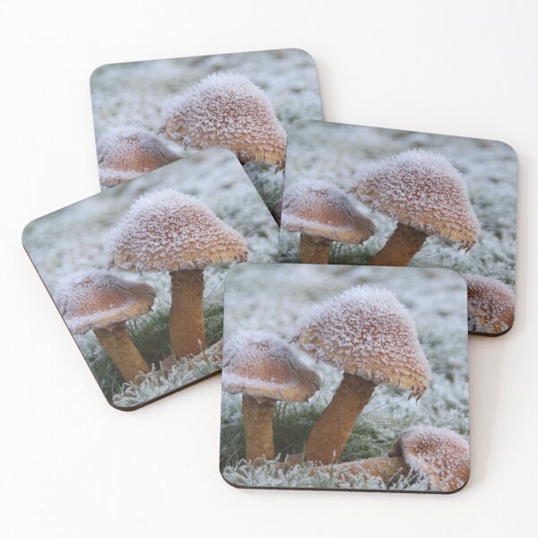 Item preview, Frozen Mushrooms designed and sold by Calidris Fotografie Steffi & Ben Köppler.