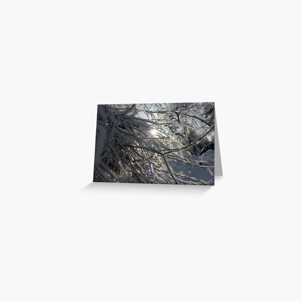A sunny winter day Greeting Card