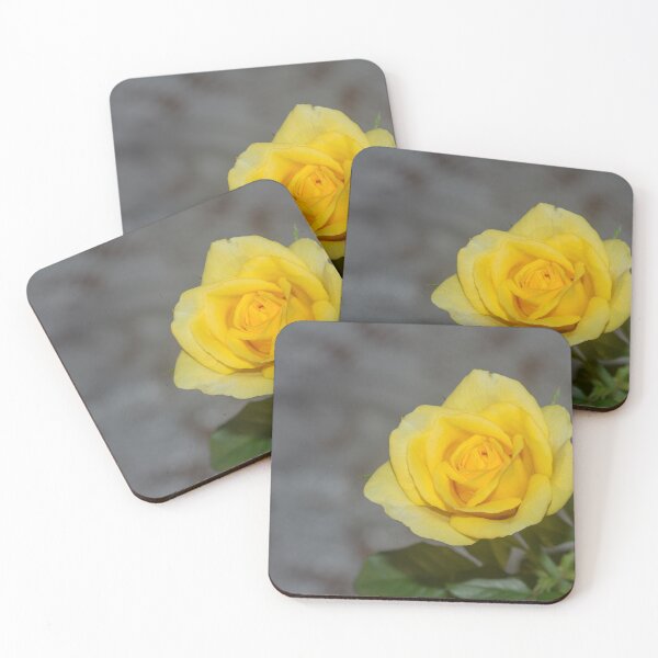 Item preview, blooming yellow rose. designed and sold by rajeshbac.