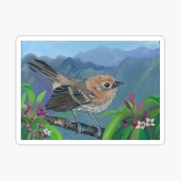 Elepaio Bird in a Sandalwood Tree Sticker