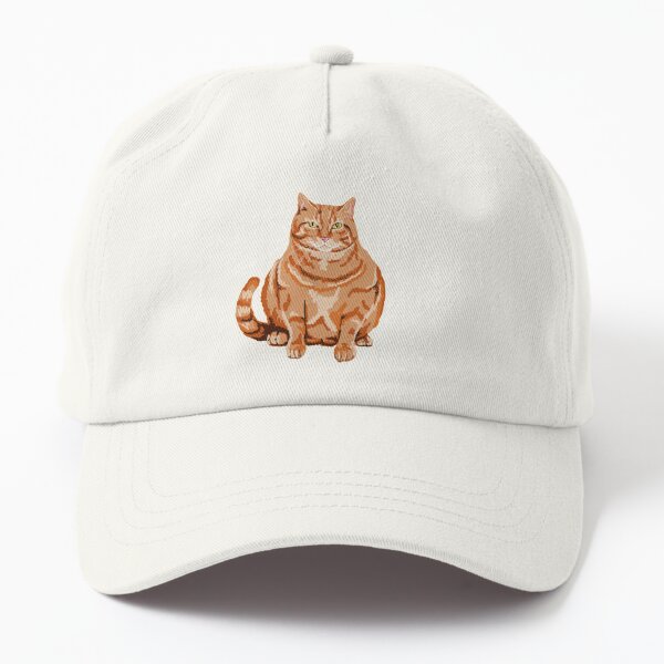 Cat Hat | Cute Cat Baseball Cap | Advice From A Cat | Cat Lover | Animal  Lover | Animal Inspired | Baseball Hat | Embroidered Hat | Fit Most