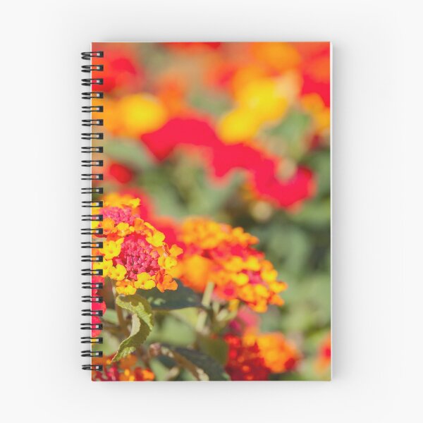 Item preview, closeup of colorful lantana blooming flowers. designed and sold by rajeshbac.