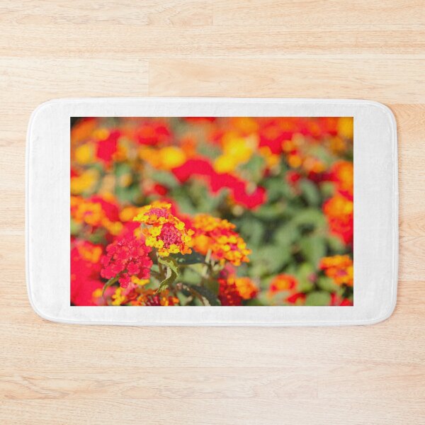 Item preview, closeup of colorful lantana blooming flowers. designed and sold by rajeshbac.
