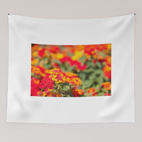 Item preview, closeup of colorful lantana blooming flowers. designed and sold by rajeshbac.