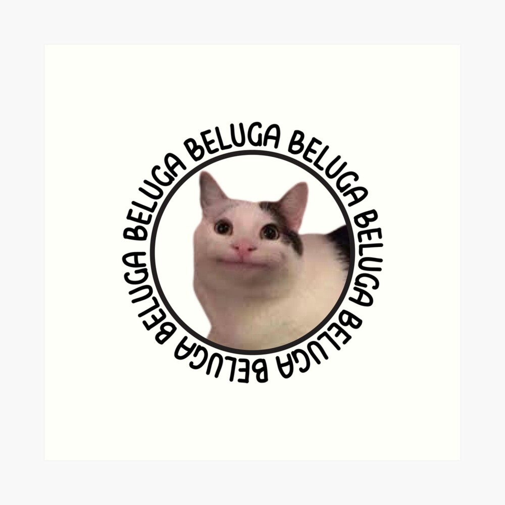 Custom Beluga Discord Meme Cat The King Of Discord Ladies Denim