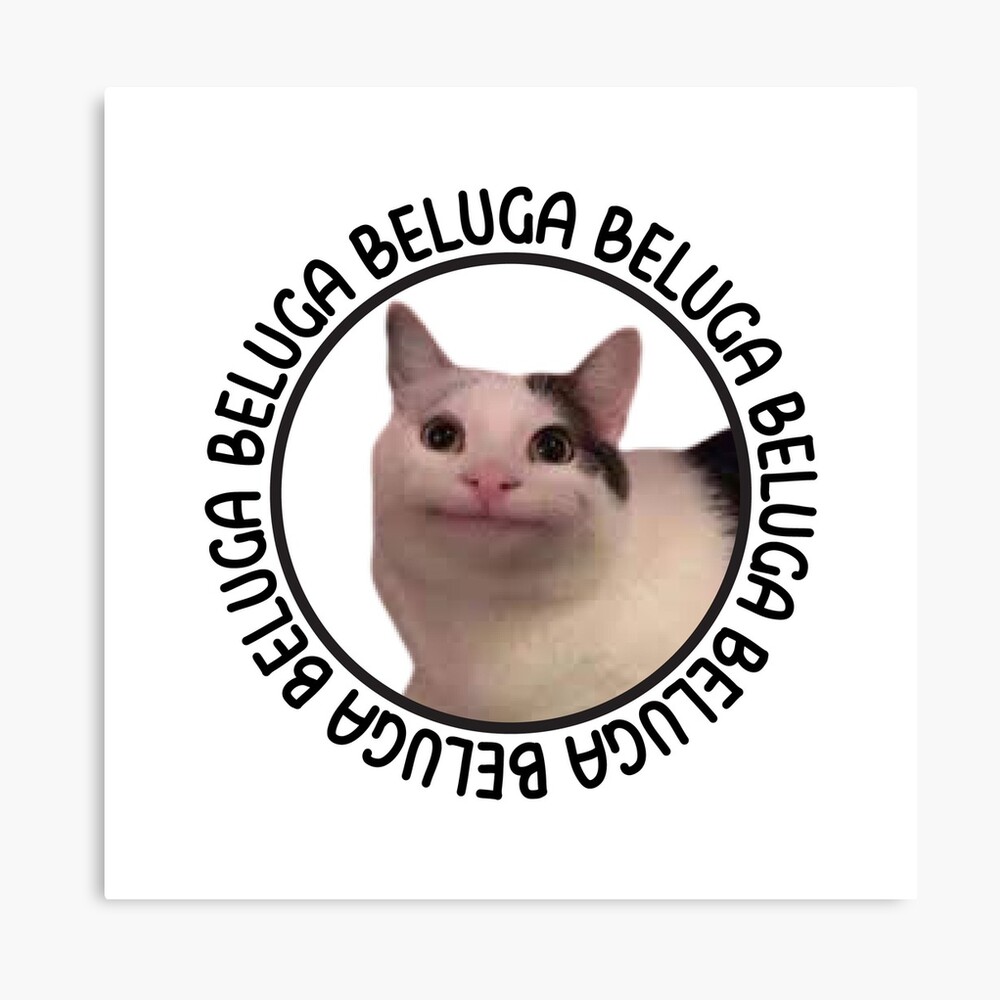 Beluga Cat Discord Meme Pins and Buttons for Sale