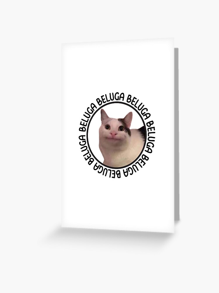 beluga cat discord meme Greeting Card for Sale by anins-azuree