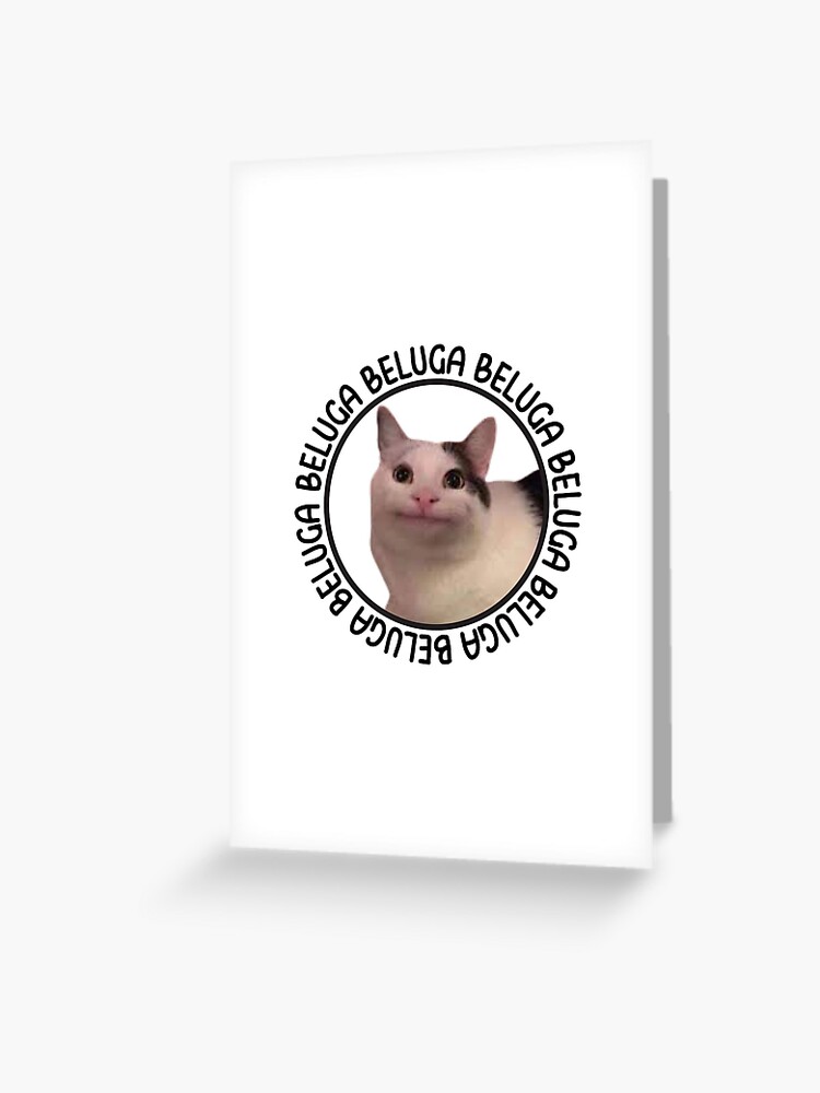 Beluga cat, Beluga Cat Meme, Meme Sticker for Sale by graphic