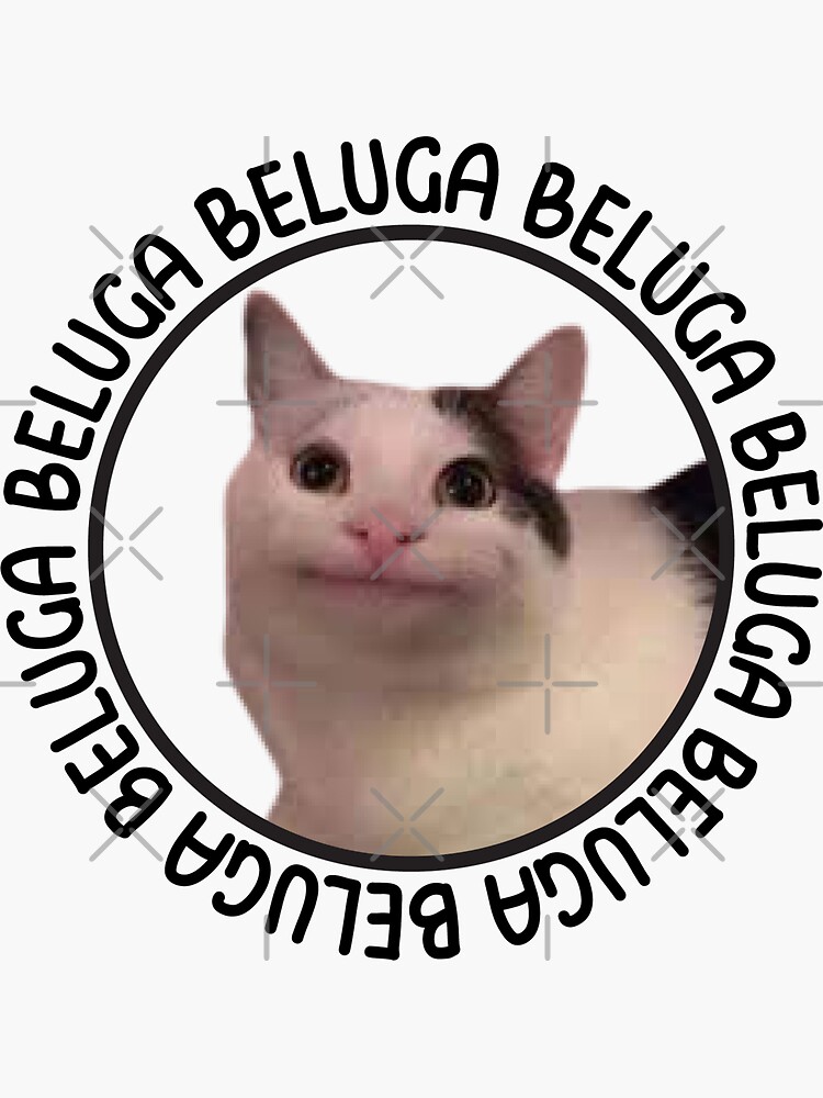 beluga cat discord meme Greeting Card for Sale by anins-azuree