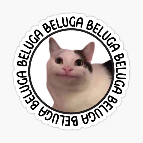 Beluga cat, Beluga Cat Meme, Meme Sticker for Sale by graphic