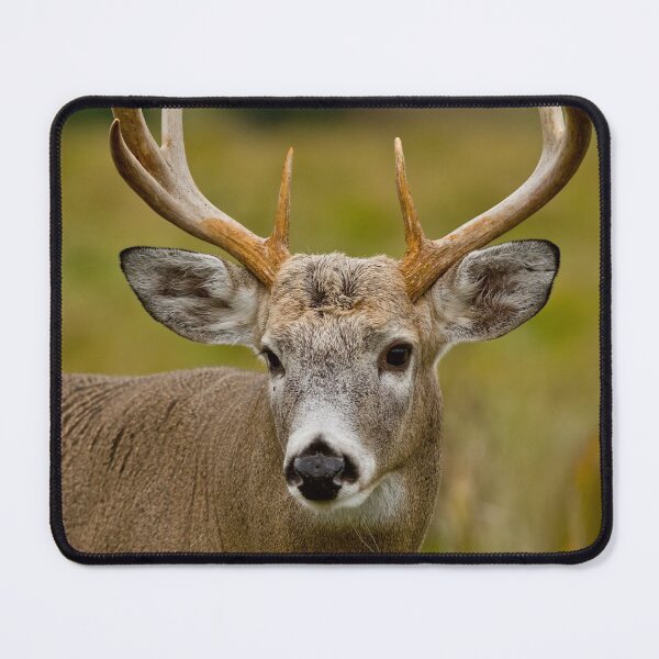 Item preview, White-tailed Deer designed and sold by Michael Cummings.