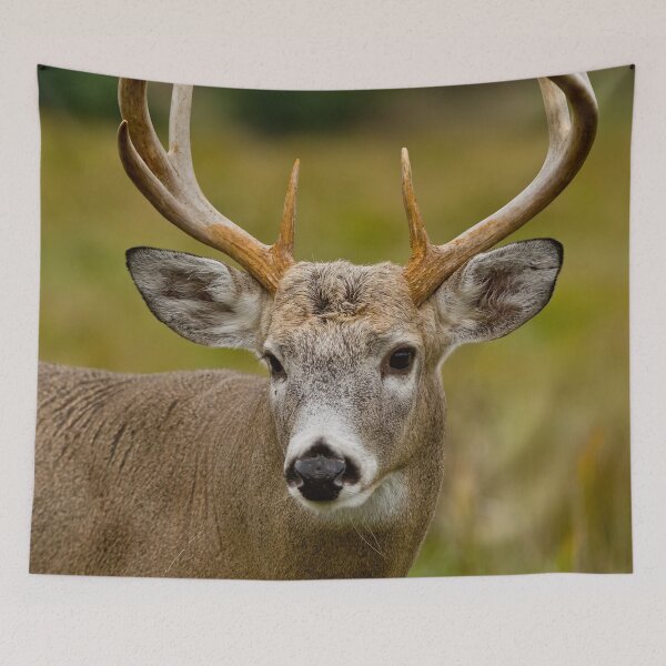 Item preview, White-tailed Deer designed and sold by Michael Cummings.