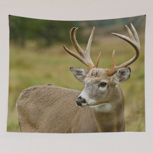 Item preview, White-tailed Deer designed and sold by Michael Cummings.