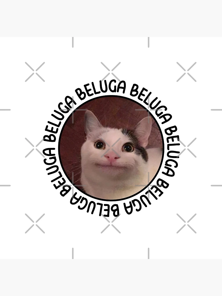 beluga cat meme  Pin for Sale by alicjadesigns