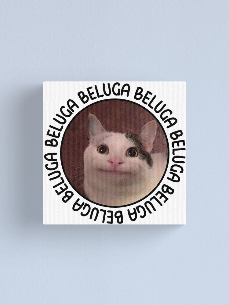 beluga cat discord pfp  Poster for Sale by Liamandlore