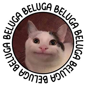 Beluga cat discord meme T-Shirt