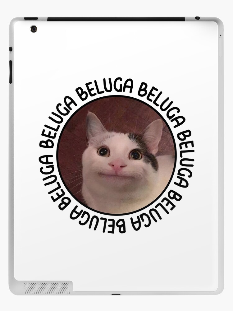 Beluga cat discord meme | Postcard