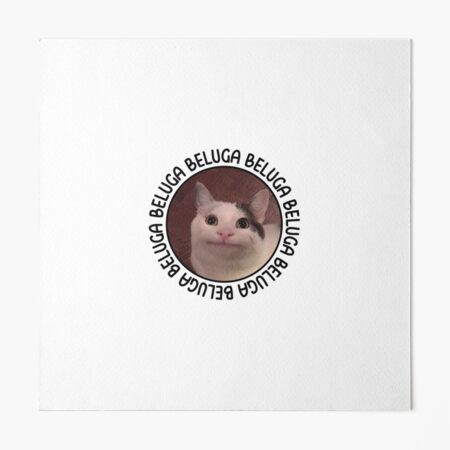 Beluga cat discord meme Magnet for Sale by anins-azuree