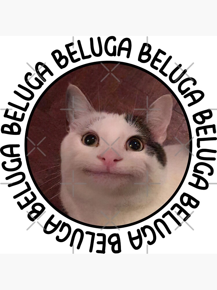 Beluga cat discord meme Magnet for Sale by anins-azuree