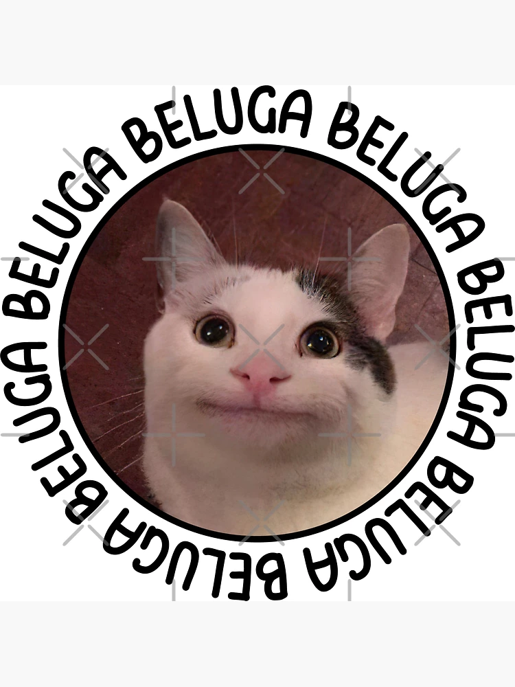 Beluga cat memes playlist for if I am bored 