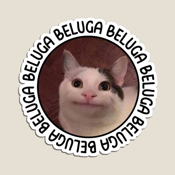 beluga cat discord meme Greeting Card for Sale by anins-azuree