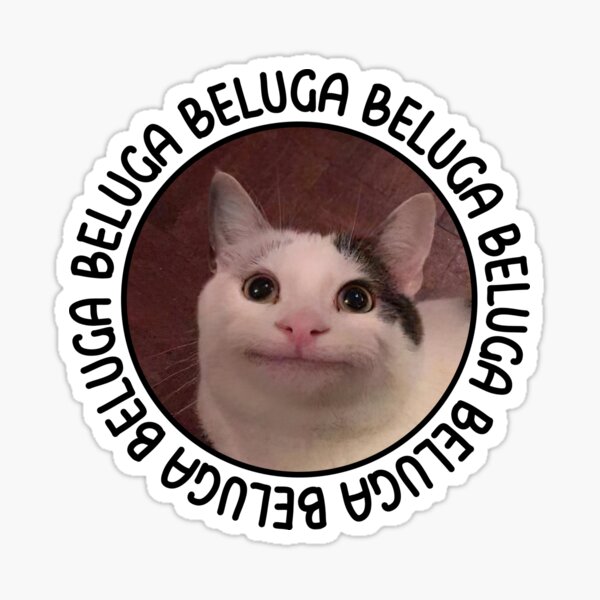 Beluga Cat Sticker for Sale by Nagjin in 2023