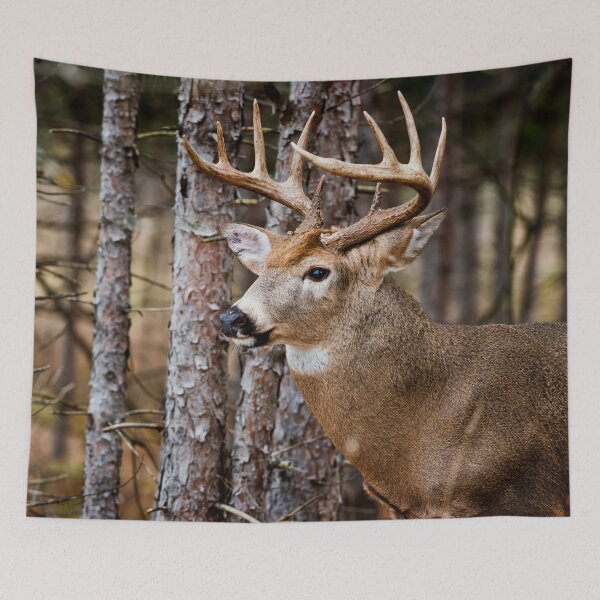 Item preview, White-Tailed Deer designed and sold by Michael Cummings.