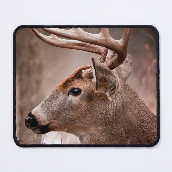 Item preview, White-Tailed Deer designed and sold by Michael Cummings.
