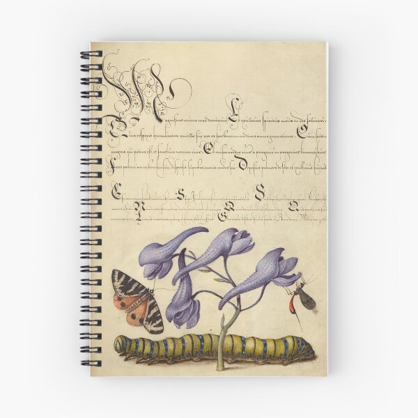 Item preview, Manuscrito naturalista: insectos, flores e iluminación de caligrafía por Joris Hoefnagel designed and sold by Naturalist Prints.