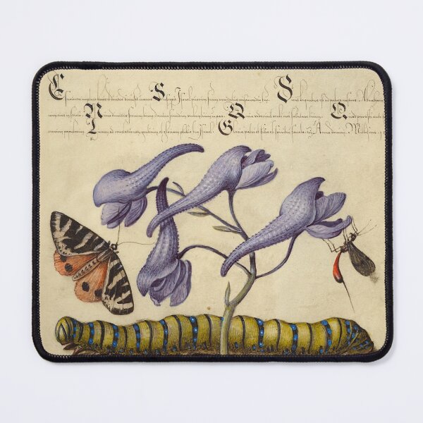 Item preview, Naturalist Manuscript: Insects, Flower, and Calligraphy Illumination by Joris Hoefnagel designed and sold by Naturalist Prints.