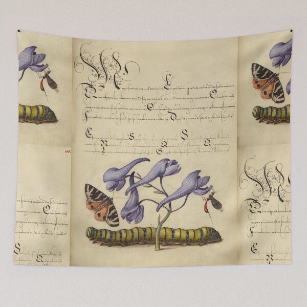 Item preview, Naturalist Manuscript: Insects, Flower, and Calligraphy Illumination by Joris Hoefnagel designed and sold by Naturalist Prints.
