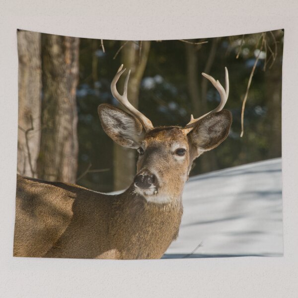Item preview, White-tailed Deer designed and sold by Michael Cummings.