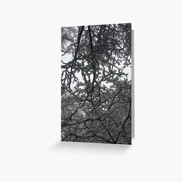 Winter Artwork Greeting Card