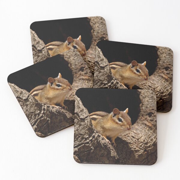 Item preview, Chipmunk designed and sold by Michael Cummings.