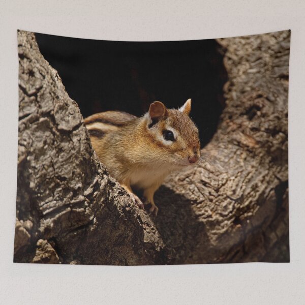 Item preview, Chipmunk designed and sold by Michael Cummings.
