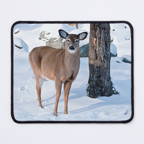 Item preview, White-tailed Deer designed and sold by Michael Cummings.