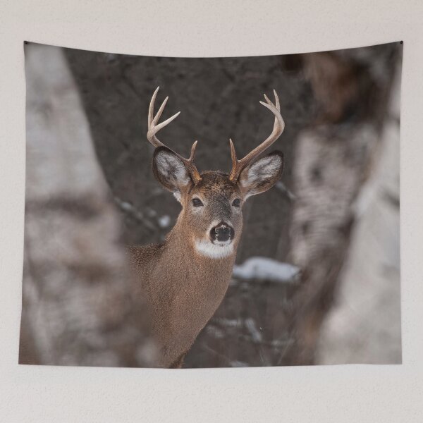 Item preview, White-Tailed Deer designed and sold by Michael Cummings.