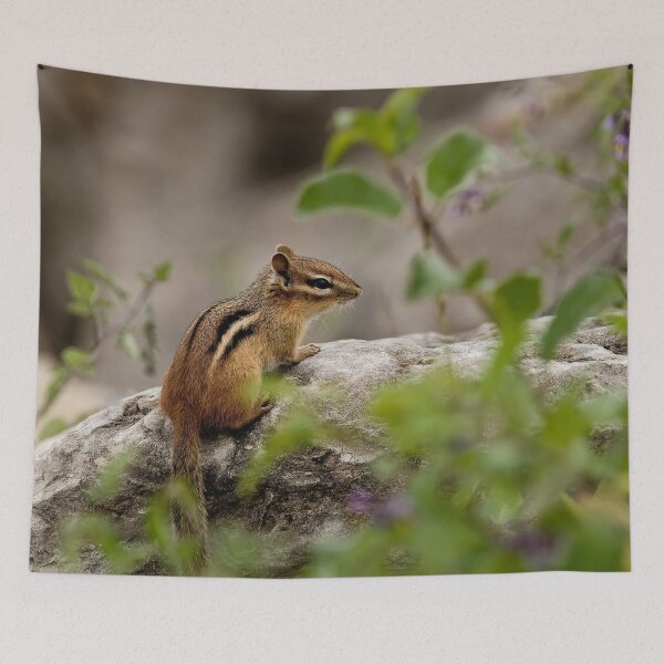 Item preview, Chipmunk designed and sold by Michael Cummings.