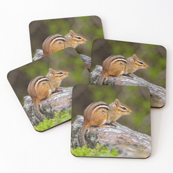 Item preview, Chipmunk On Rock designed and sold by Michael Cummings.