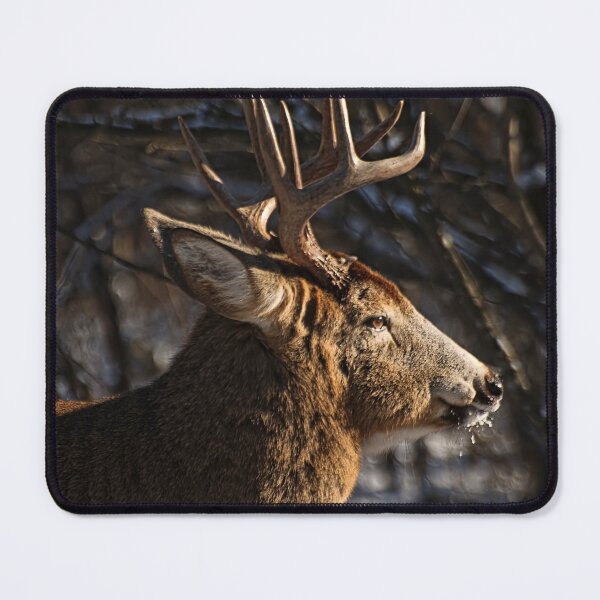 Item preview, White-tailed Deer designed and sold by Michael Cummings.
