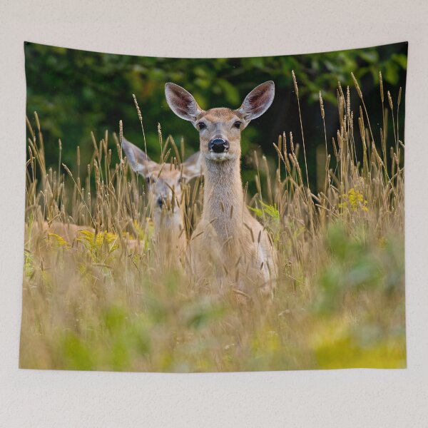 Item preview, White-tailed Deer designed and sold by Michael Cummings.