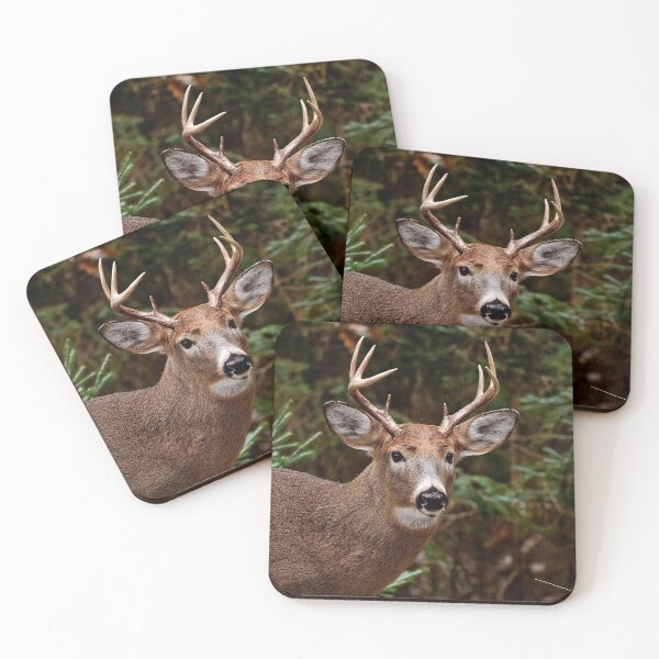 Item preview, White-tailed deer designed and sold by Michael Cummings.