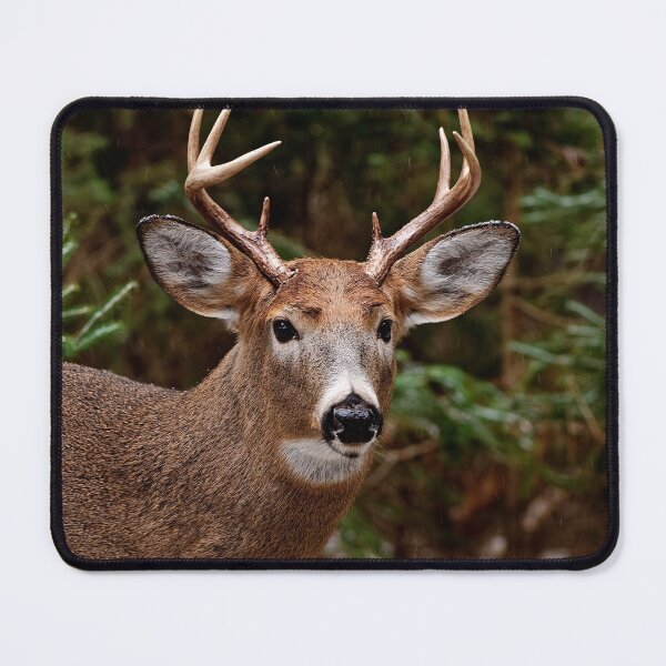 Item preview, White-tailed deer designed and sold by Michael Cummings.