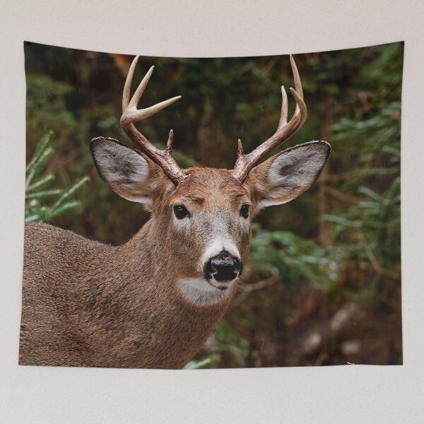 Item preview, White-tailed deer designed and sold by Michael Cummings.