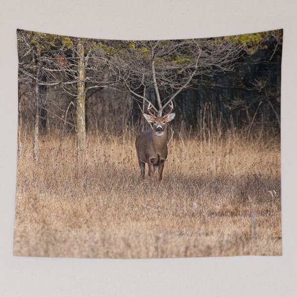 Item preview, White-tailed Deer designed and sold by Michael Cummings.