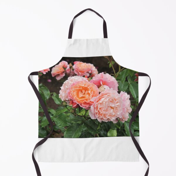 Item preview, Roses photography designed and sold by isabelladrawing.